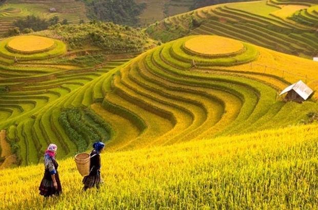 5 REASONS WHY YOU SHOULD VISIT VIETNAM