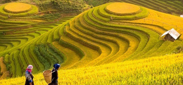 5 REASONS WHY YOU SHOULD VISIT VIETNAM